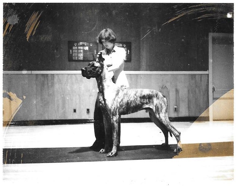 Farley Feb 1977-Age 20 mo